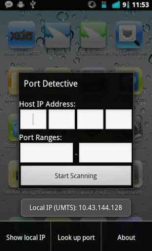 Port Detective 1