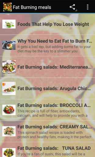 fat burning meals 1