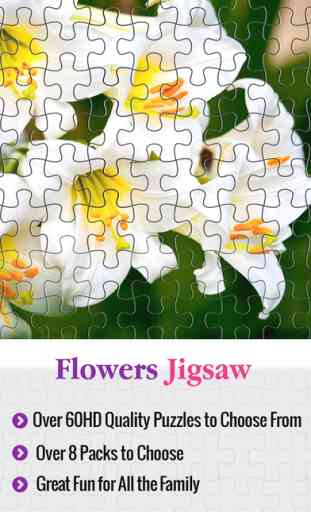 Puzzles & Jigsaw  for 500  Adults & Kids, and All the Family- 100 + Pics 1