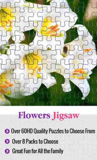 Puzzles & Jigsaw  for 500  Adults & Kids, and All the Family- 100 + Pics 4