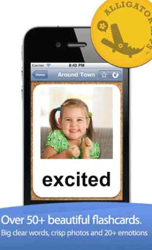 ABA Flash Cards & Games - Emotions 1