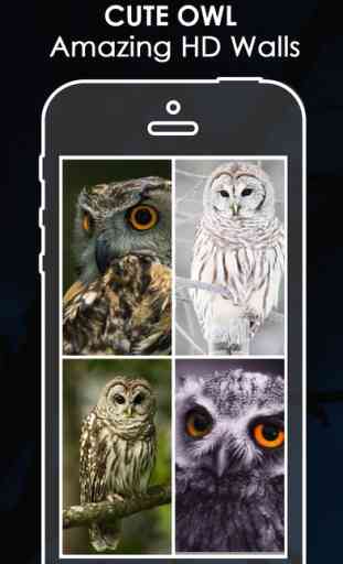 Owl Background | Cute Owl HD Pic.ture & Wallpaper 1