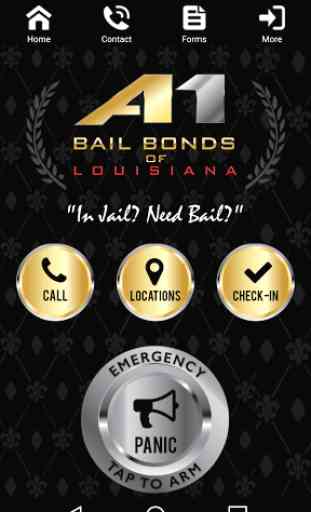 A1 Bail Bonds Louisiana 1