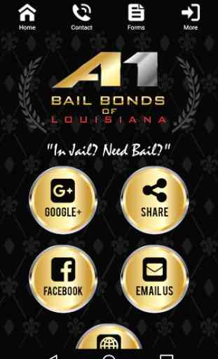 A1 Bail Bonds Louisiana 2