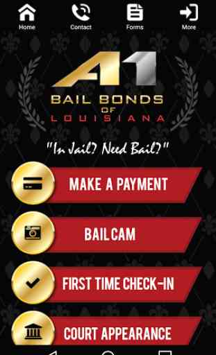 A1 Bail Bonds Louisiana 3