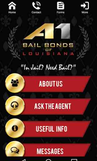 A1 Bail Bonds Louisiana 4