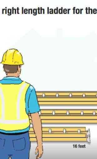 Ladder Safety 2