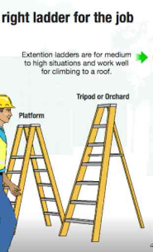 Ladder Safety 4