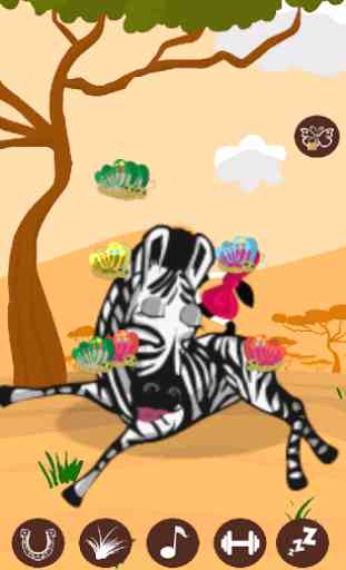 Lolly The Talking Zebra 3
