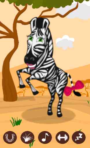 Lolly The Talking Zebra 4