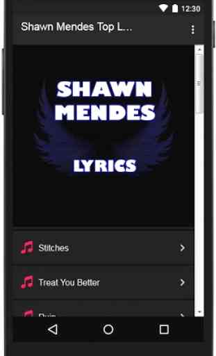 Shawn Mendes Top Lyrics 1
