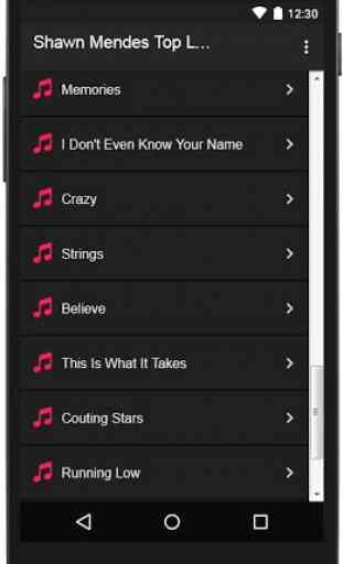 Shawn Mendes Top Lyrics 3