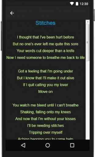 Shawn Mendes Top Lyrics 4
