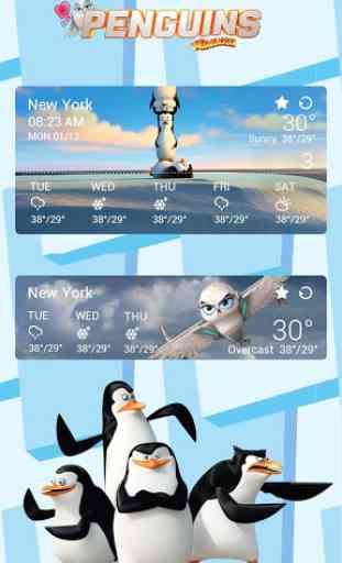 Penguins Of MG Weather Widget 2