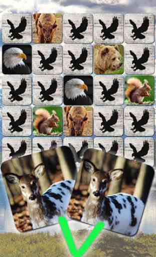 Animal Puzzle Wildlife America 4