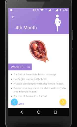 Pregnancy Week By Week 4