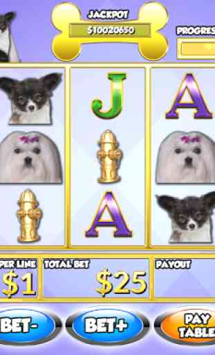 Puppy Pay Day Dog Slots Casino 2
