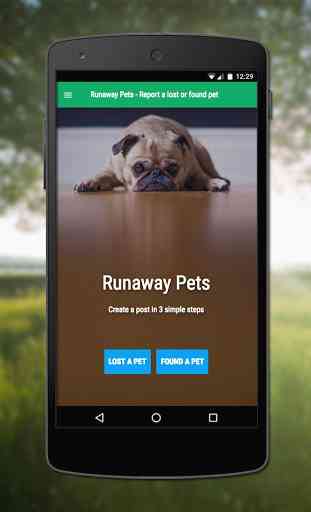 Runaway Pets 1