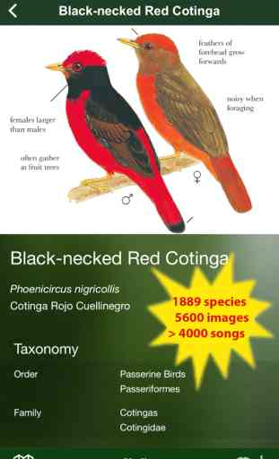 All Birds Colombia - a complete field guide to all the bird species recorded in Colombia 2