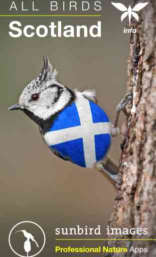 All Birds Scotland - A Complete Fieldguide to the Official List of Scottish Bird Species 1