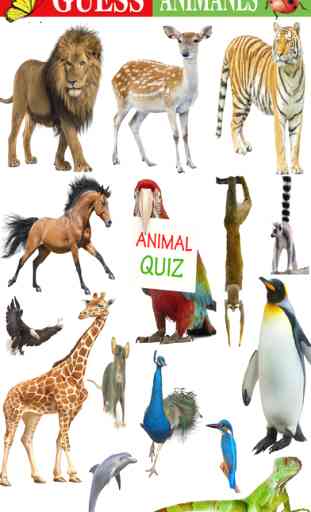 Animal Quiz - Guess Pictures of Famous Animals from Amazon Wild,African Safari,Savannah & Sea 1