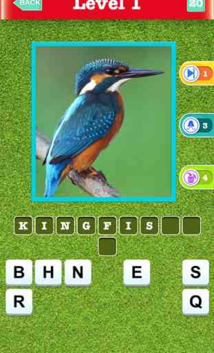 Animal Quiz - Guess Pictures of Famous Animals from Amazon Wild,African Safari,Savannah & Sea 3