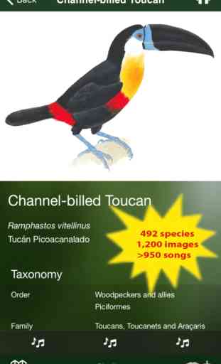 All Birds Trinidad and Tobago - a field guide 2