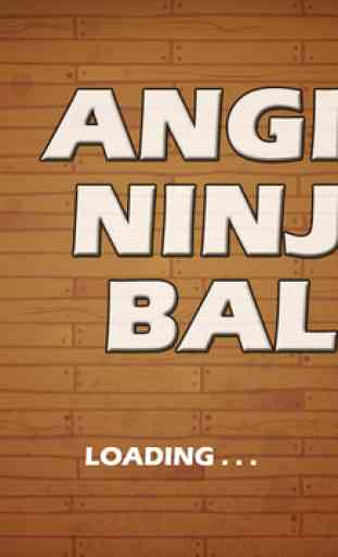 Angry Ninja Ball Escape: The Best Fun Game FREE 4
