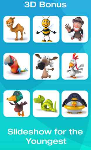 Animal and Tool Flashcards for Babies or Toddlers 2