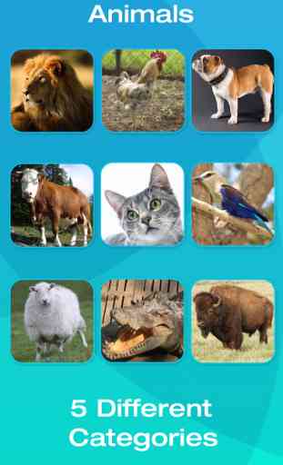 Animal and Tool Flashcards for Babies or Toddlers 4