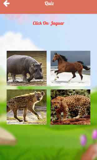 Animals Mania Picture Quiz Learning App For Kids 2