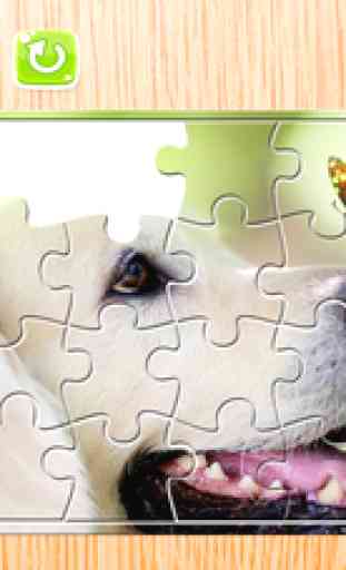 Animals Puzzle for Adults Jigsaw Puzzles Game Free 1