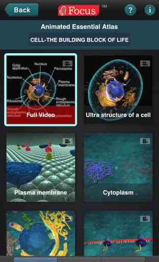 Animated Essential Atlas of Anatomy and Physiology 2