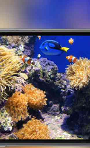 Aquarium - live tropical fish & coral reef 1