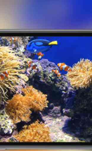 Aquarium - live tropical fish & coral reef 4