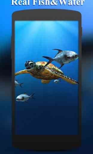 3D Sea Fish Live Wallpaper HD 3