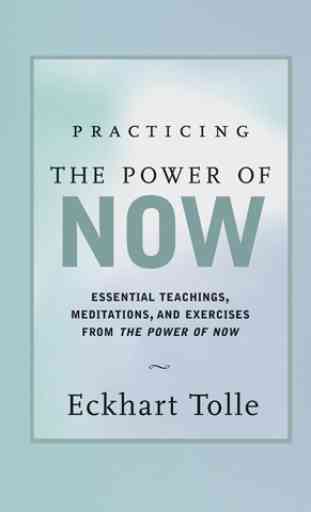 Eckhart PracticingPower of Now 1