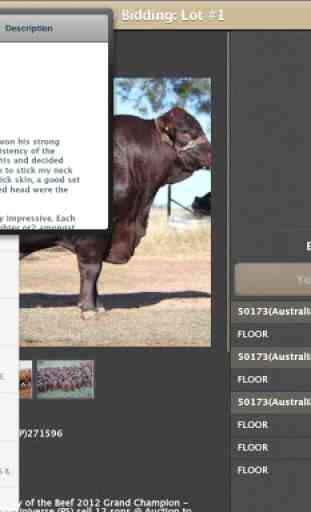 Elite Livestock Auctions 3