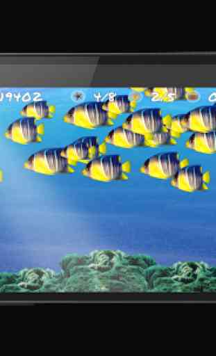 Wonder Fish Free Games HD 3