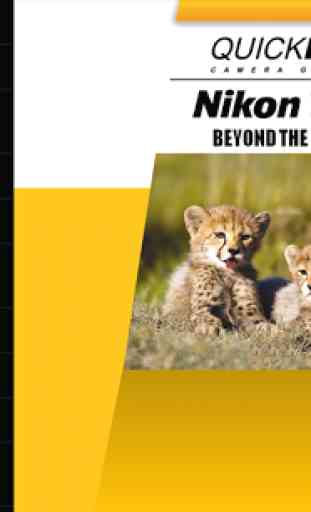 Guide to Nikon D750 Beyond 1