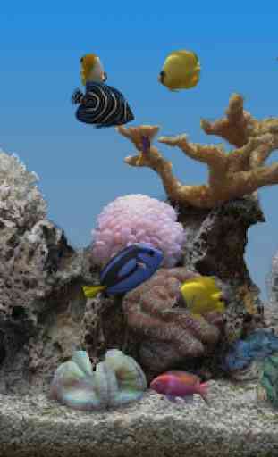 Marine Aquarium 3.3 1