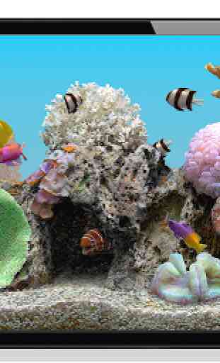 Marine Aquarium 3.3 3