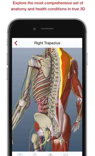 BioDigital Human - Anatomy and Health Conditions in 3D! 1