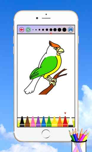 Bird Coloring Book For Kids 1