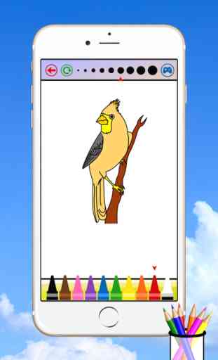 Bird Coloring Book For Kids 2