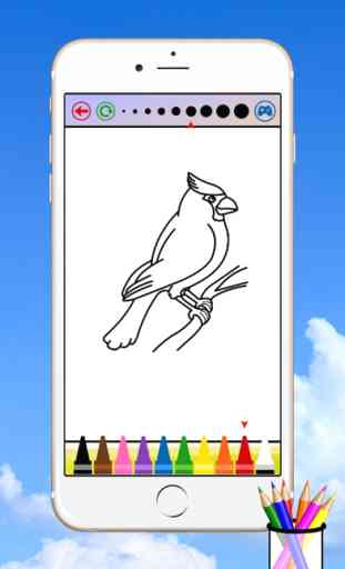Bird Coloring Book For Kids 3