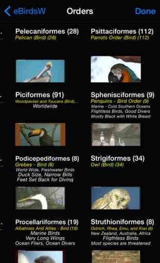 Birds of the World - eBirdsW - A Bird App 2