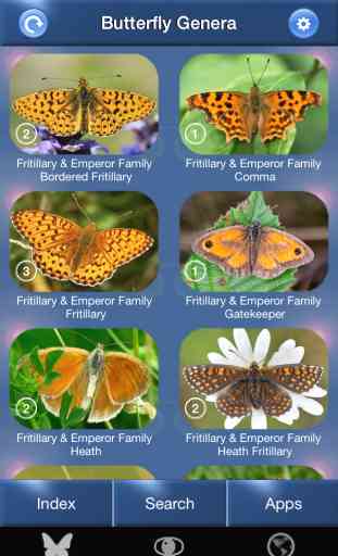 Butterfly Id - The British Identification Guide to Butterflies 2