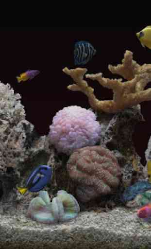 Marine Aquarium 3.3 PRO 2