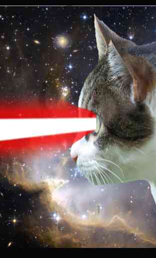 Laser Cat 1